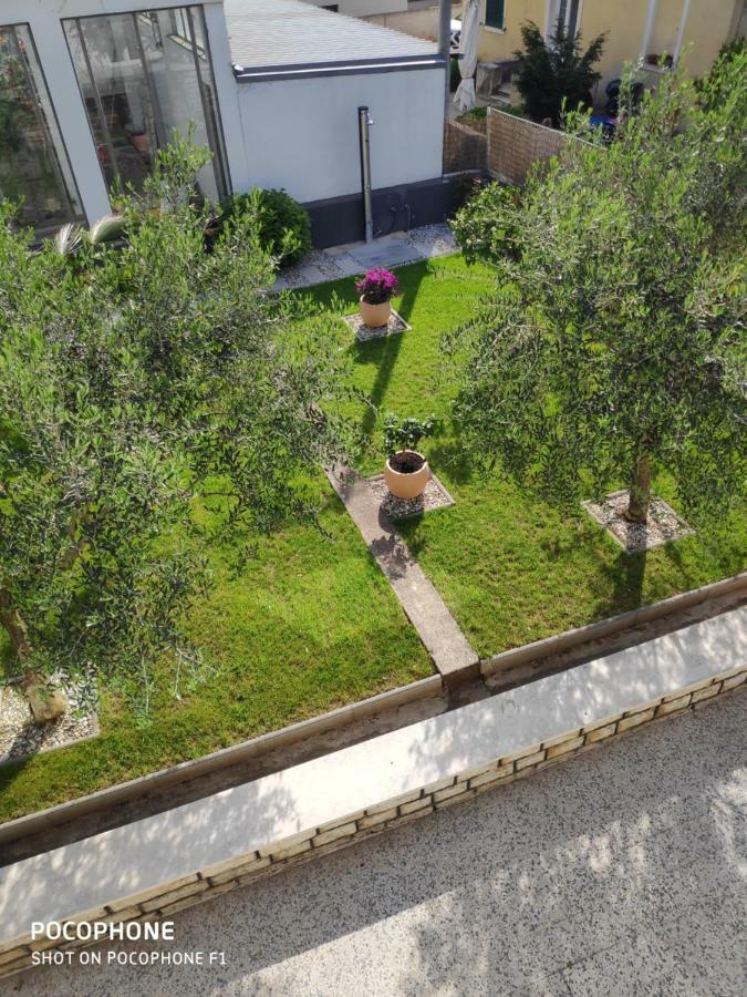 Apartman Nia 扎达尔 外观 照片